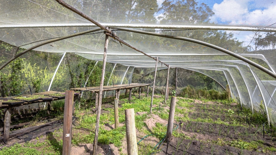 Commercial Property for Sale in Sedgefield Rural Western Cape